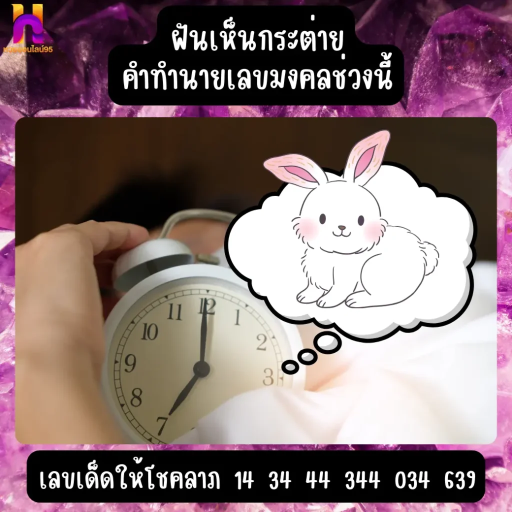 ฝันเห็นกระต่าย